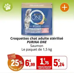 Coccinelle Supermarché Croquettes chat adulte stérilisé purina one offre