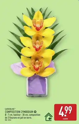 ALDI GARDENLINE Composition cymbidium offre