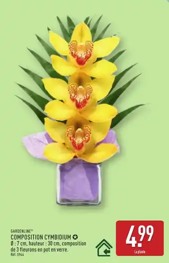 ALDI GARDENLINE Composition cymbidium offre