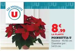 Bi1 Poinsettia u offre