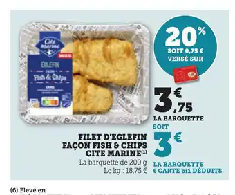 Bi1 Filet d'eglefin façon fish & chips cite marine offre