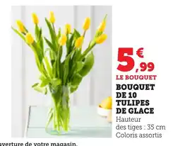 Bi1 Bouquet de 10 tulipes de glace offre