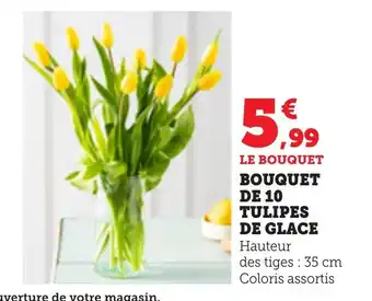 Bi1 Bouquet de 10 tulipes de glace offre