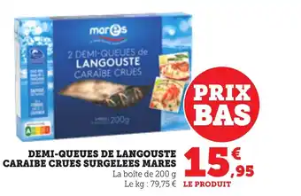 Bi1 Demi-queues de langouste caraibe crues surgelees mares offre