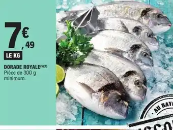 E.Leclerc Dorade royale offre