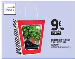 E.Leclerc Bonsaï d'intérieur 5 ans avec sac cadeau offre