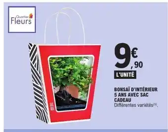 E.Leclerc Bonsaï d'intérieur 5 ans avec sac cadeau offre