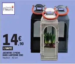 E.Leclerc Jacinthe 3 pieds dans lanterne zinc offre