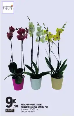 E.Leclerc Phalaenopsis 2 tiges pailletées avec cache-pot offre