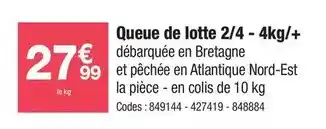 Promocash 4kg/+ offre