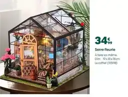 Truffaut Dim - serre fleurie offre
