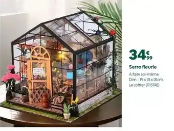 Truffaut Dim - serre fleurie offre