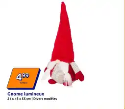 Action Gnome lumineux offre