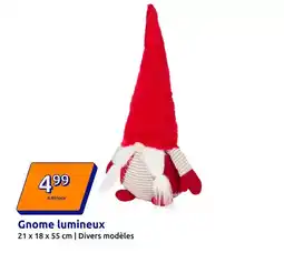 Action Gnome lumineux offre