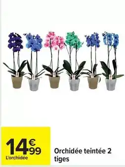 Carrefour Orchidée teintée 2 tiges offre