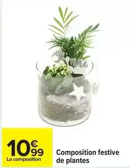 Carrefour Composition festive de plantes offre