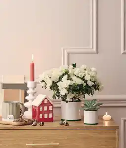 Jardiland Assortiment de noël offre