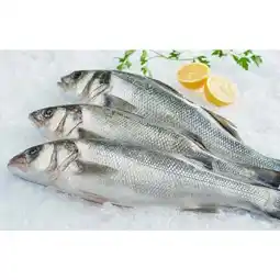 Carrefour Bar filiere qualite carrefour offre