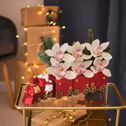 Carrefour Carrefour orchidée 6 fleurons train offre