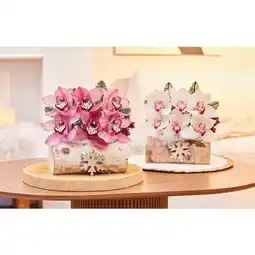 Carrefour Carrefour orchidée 6 fleurons bûchette offre