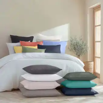 Carrefour Linge de lit uni coton 57 fils offre