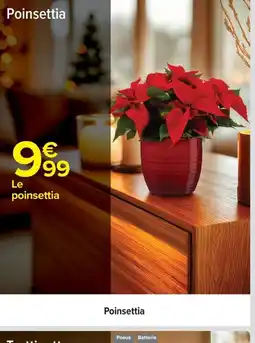 Carrefour Poinsettia offre