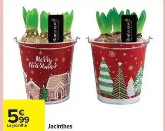 Carrefour Jacinthes offre