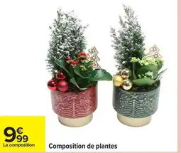 Carrefour Composition de plantes offre