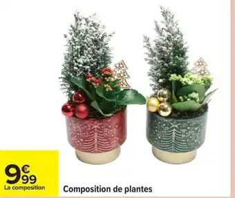 Carrefour Composition de plantes offre