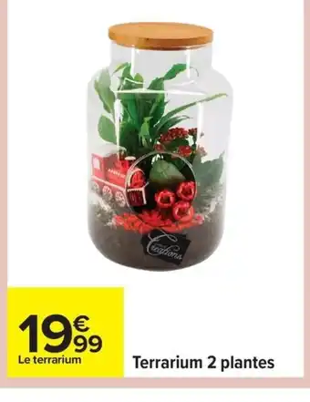 Carrefour Terrarium 2 plantes offre