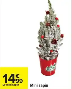 Carrefour Mini sapin offre
