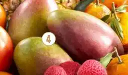 Netto Mangue affinée offre