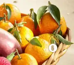 Netto Clémentine feuille de corse offre