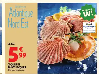 Coquilles saint-jacques