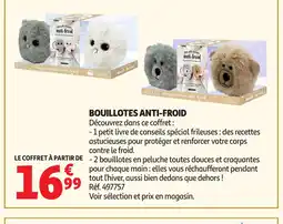 Auchan Bouillotes anti-froid offre