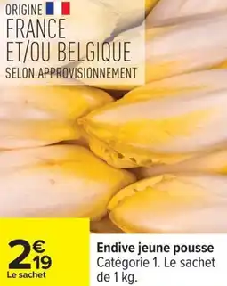 Carrefour Endive jeune pousse offre