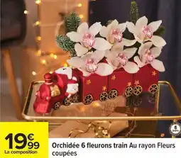 Carrefour Orchidée 6 fleurons train au rayon fleurs coupées offre