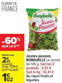 Carrefour Jeunes pousses bonduelle offre