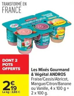 Carrefour Les mixés gourmand & végétal andros offre