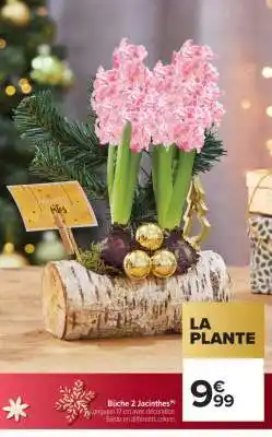 Carrefour Market Bûche 2 Jacinthes offre