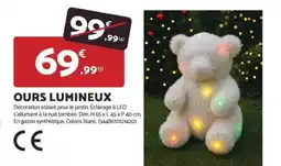Bricomarché Ours lumineux offre