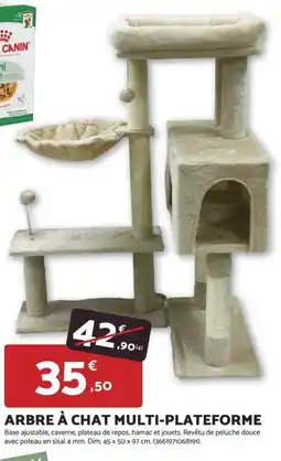 Bricomarché Arbre à chat multi-plateforme offre