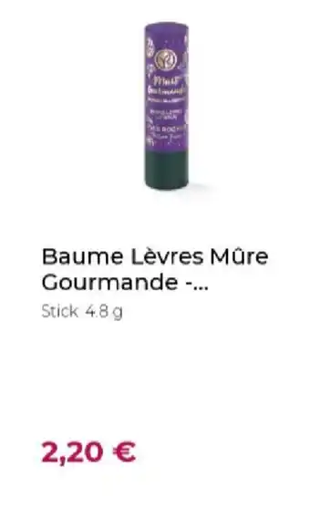 Yves Rocher Baume Lèvres Mûre Gourmande offre