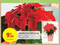 Intermarché Express Poinsettia pot 15 cm offre