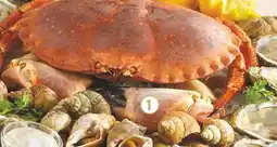 Netto Producteurs et commercants pinces de tourteaux cuites offre