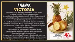 Super U Ananas offre
