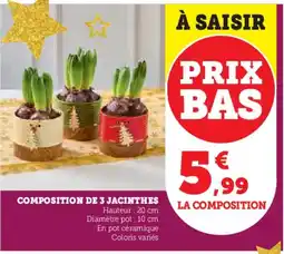 Super U Composition de 3 jacinthes offre
