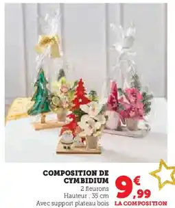 Super U Composition de cymbidium offre