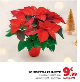 Super U Poinsettia pailleté offre