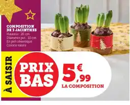 Hyper U Composition de 3 jacinthes offre